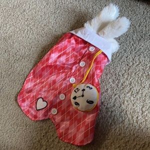 White Rabbit Dog Costume